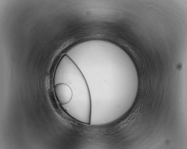 X0000100360734200806060822