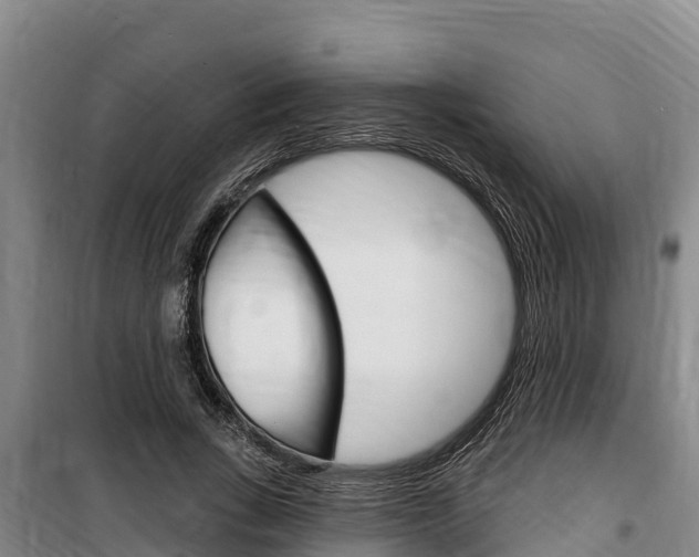 X0000100360735200806060822
