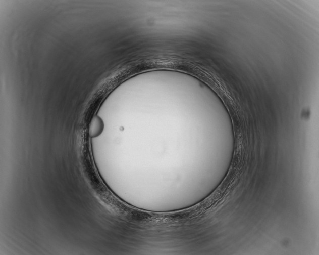 X0000100360736200806060822