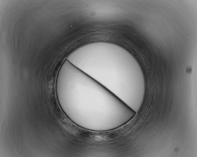 X0000100360737200806060822