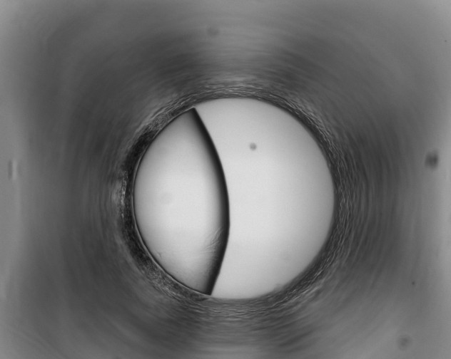 X0000100360739200806060823