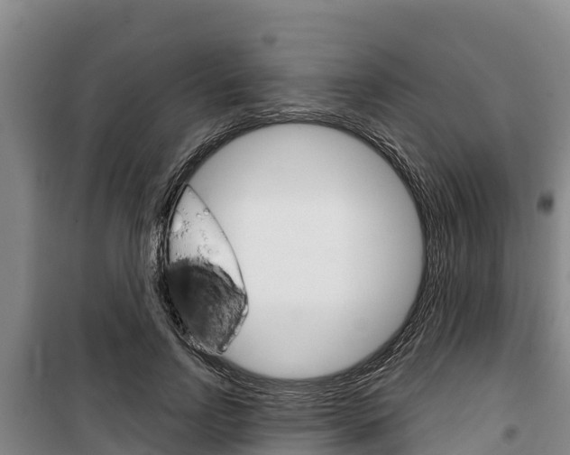 X0000100360742200806060823