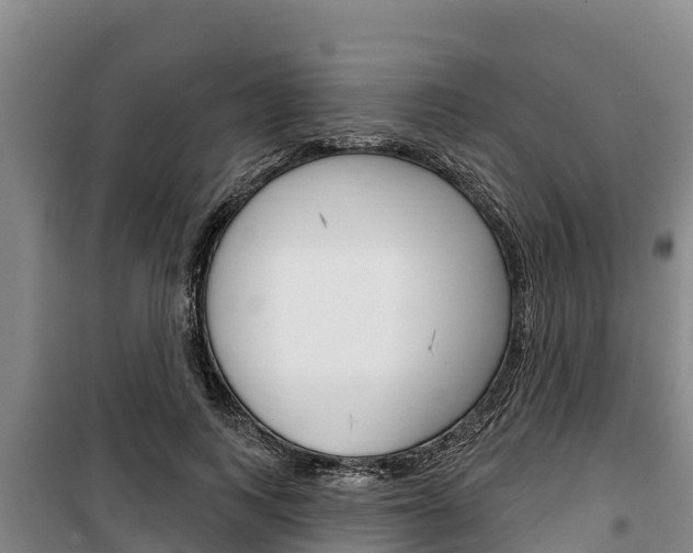 X0000100360743200806060823
