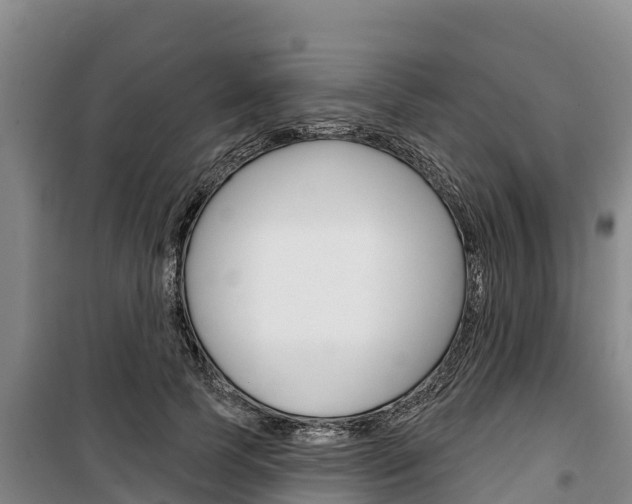 X0000100360745200806060823