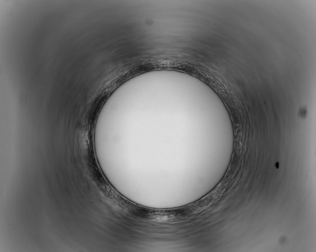 X0000100360746200806060823