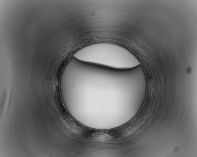 X0000100360747200806060823