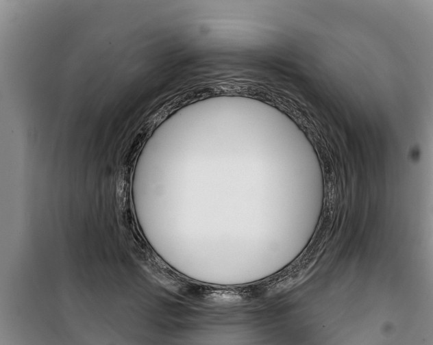 X0000100360749200806060823