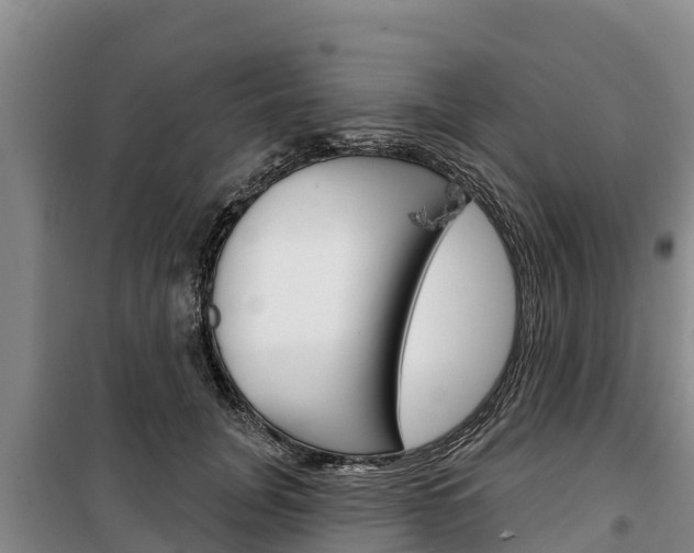 X0000100360751200806060823