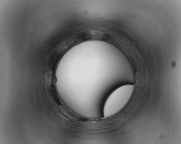 X0000100360752200806060823