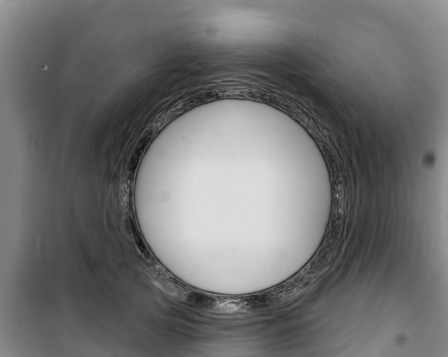 X0000100360753200806060823