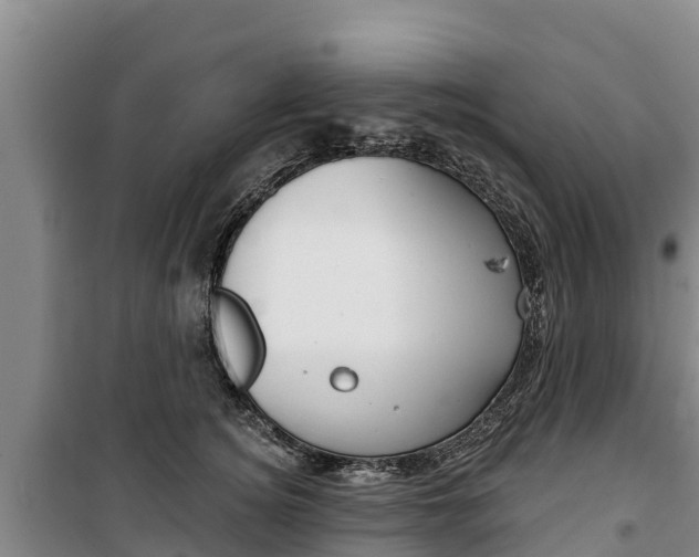 X0000100360756200806060823