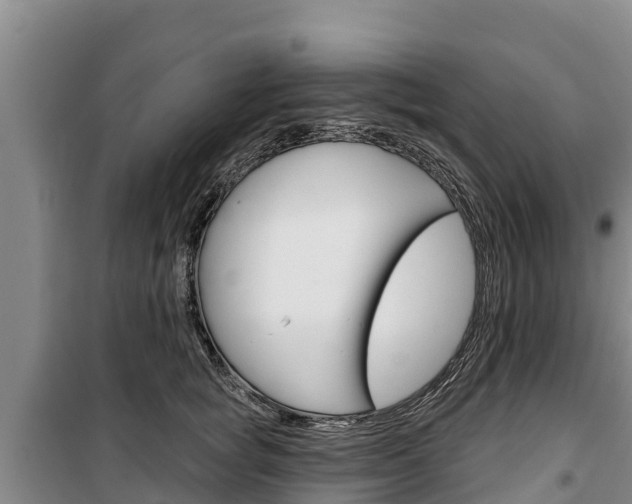 X0000100360757200806060823