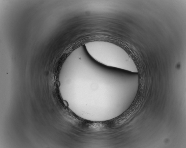 X0000100360759200806060823