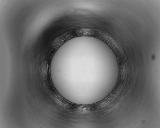 X0000100360760200806060823