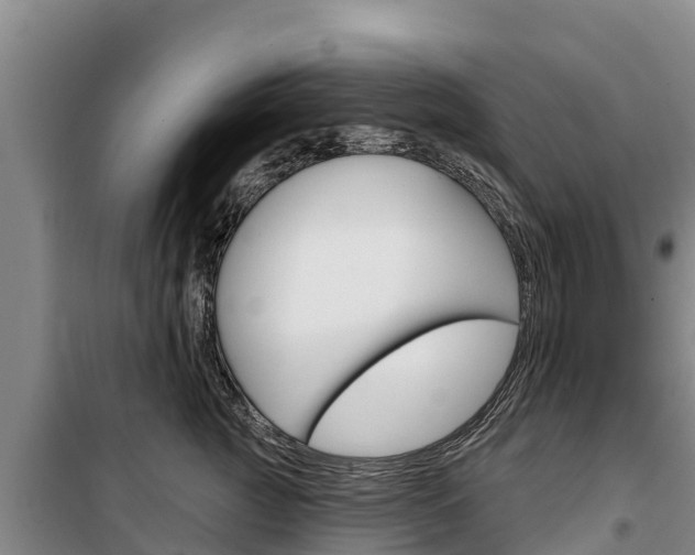 X0000100360761200806060823