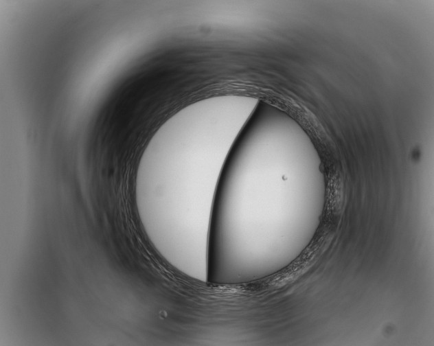 X0000100360762200806060823