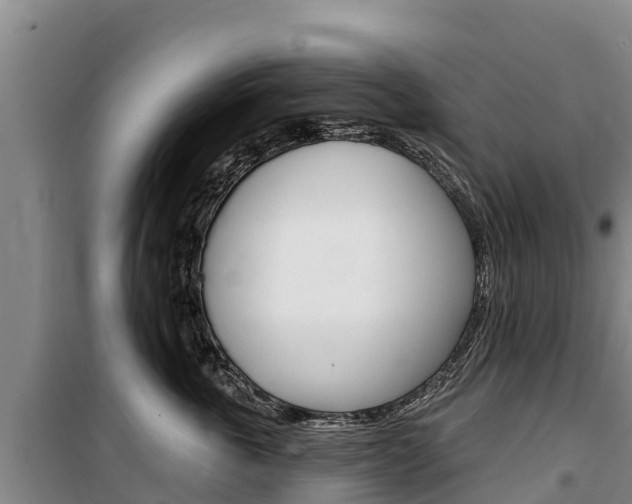 X0000100360763200806060823