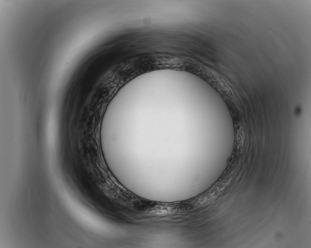 X0000100360764200806060823