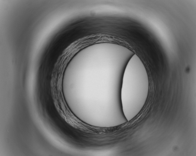 X0000100360765200806060823