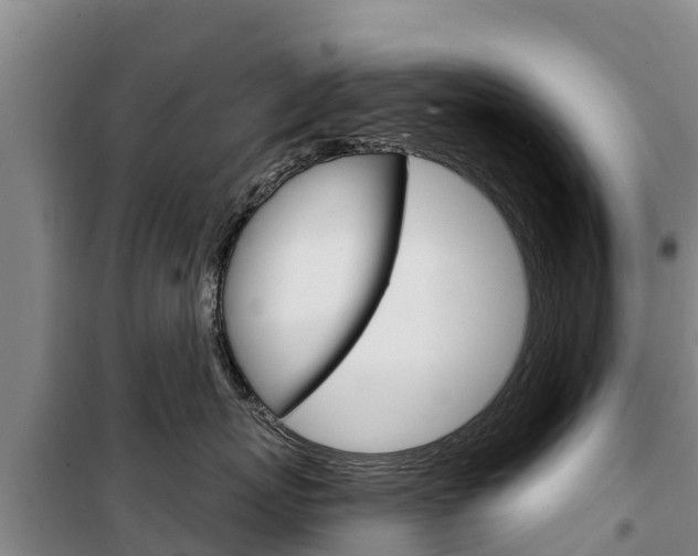 X0000100360767200806060823