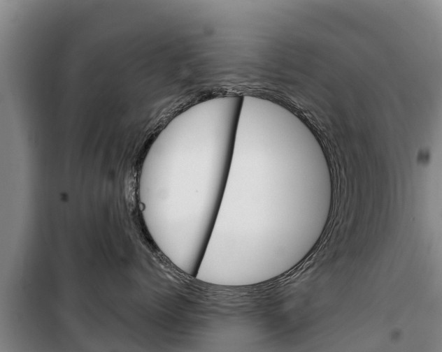 X0000100360768200806060823