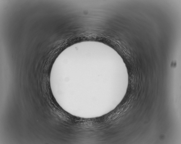X0000100360769200806060822