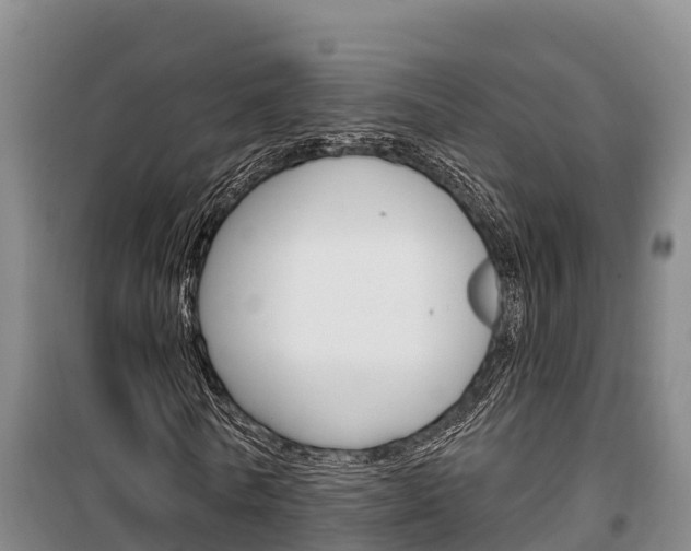 X0000100360770200806060822