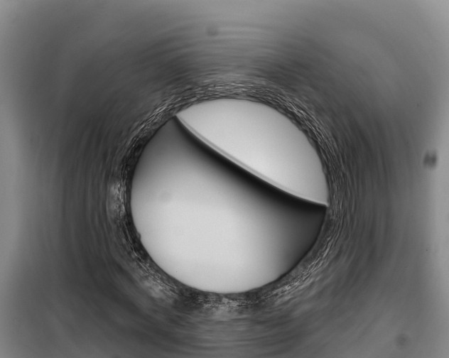 X0000100360772200806060822