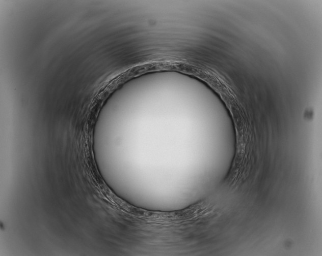 X0000100360773200806060822