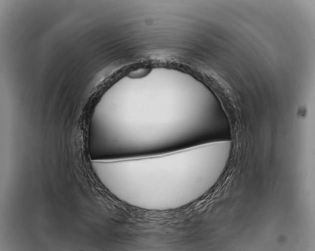 X0000100360776200806060822