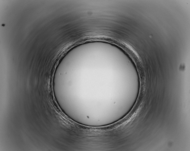 X0000100360777200806060822
