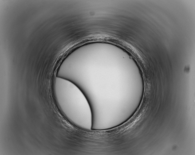 X0000100360778200806060822