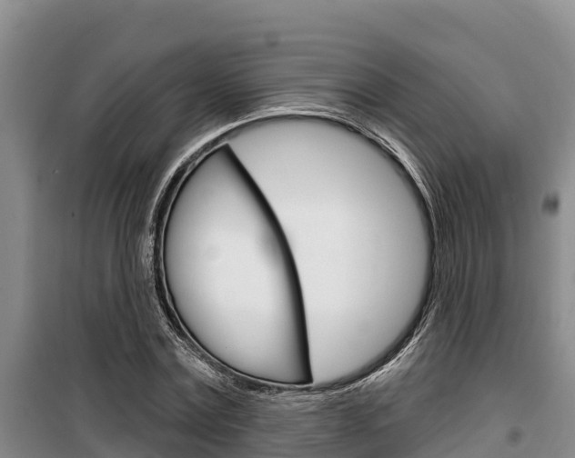 X0000100360779200806060822