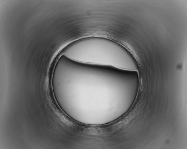 X0000100360780200806060822