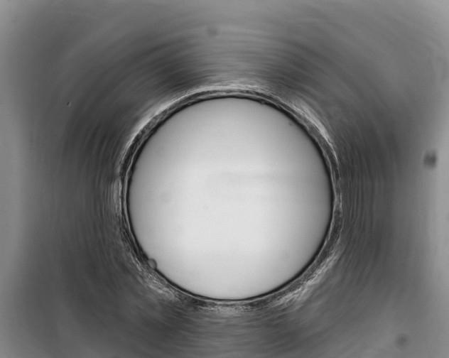 X0000100360781200806060822