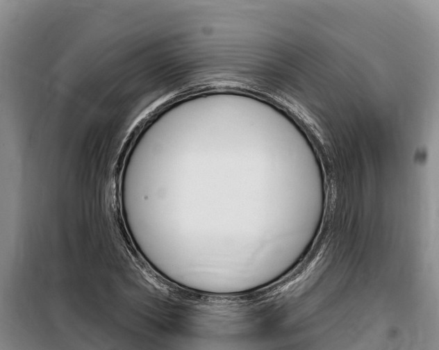 X0000100360782200806060822