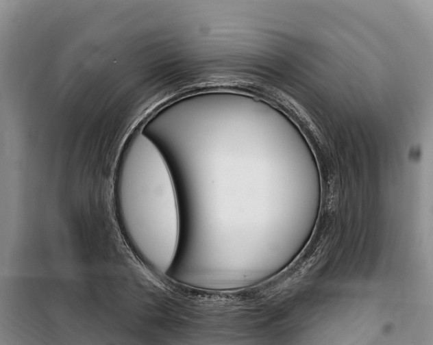 X0000100360786200806060822