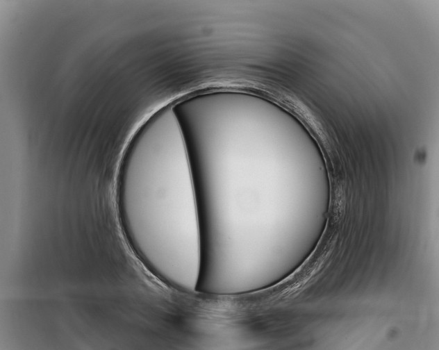 X0000100360787200806060822