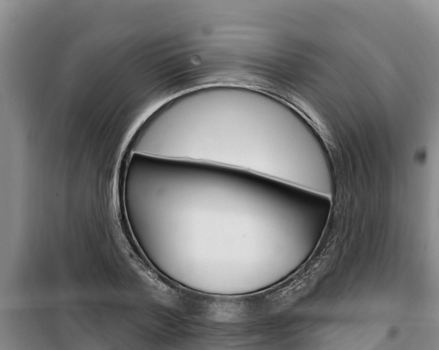 X0000100360788200806060822