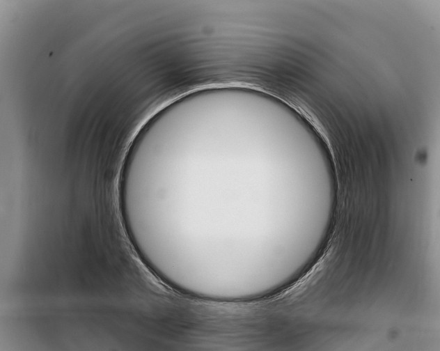 X0000100360789200806060822