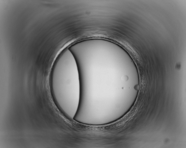 X0000100360790200806060822
