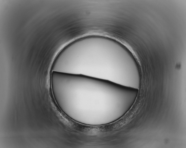 X0000100360791200806060822