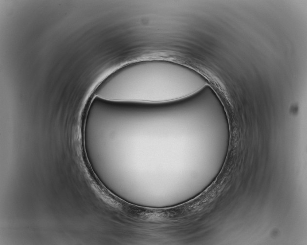 X0000100360792200806060822