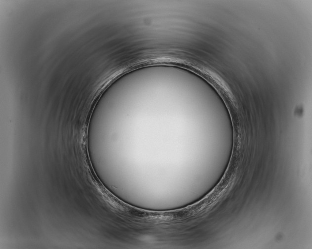 X0000100360793200806060822