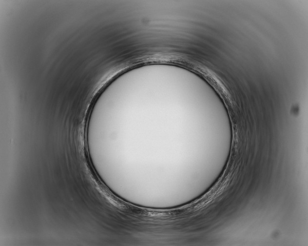 X0000100360794200806060822