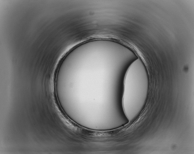 X0000100360795200806060822