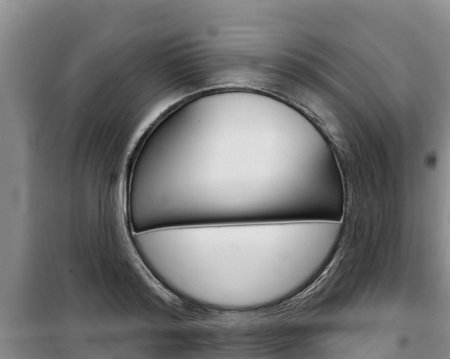 X0000100360796200806060822