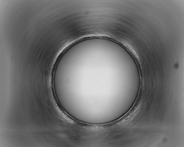 X0000100360797200806060822