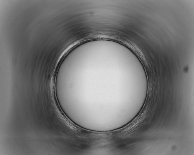 X0000100360798200806060822