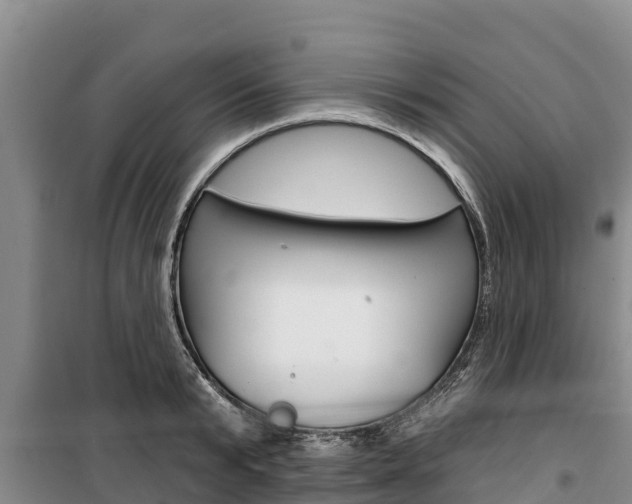 X0000100360799200806060822